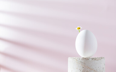 A white egg with a flower on a podium on a light pink background with a shadow pattern. Easter concept. Minimalism.