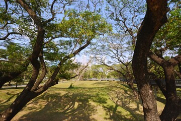Obraz premium Park, architecture and cityscape in Thailand 