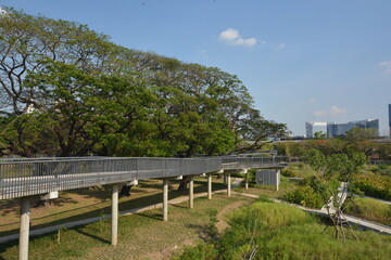 Park, architecture and cityscape in Thailand 