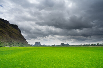 Paddy field under the mountain, Uthai Thani, Thailand