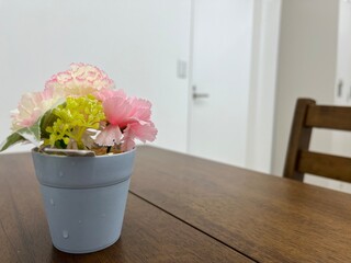 pink flowers in a vase