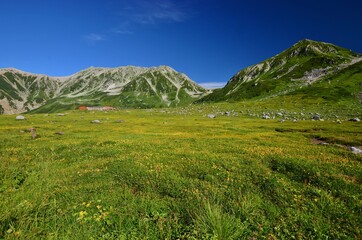 北アルプス 立山連峰　夏景色