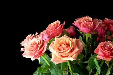 Just for you. Studio shot of a roses.