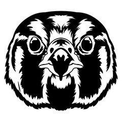 Naklejka premium Falcon face vector illustration in decorative style, perfect for tshirt design and mascot logo