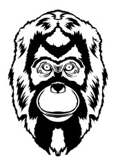 Black and white Orang utan face vector illustration, perfect for t shirt design and mascot design 