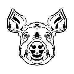 Pig face vector iilustration in hand drawn style, perfect for tshirt and mascot design 