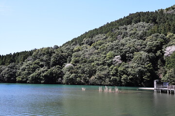 Fototapeta na wymiar 十曽池ののどかな風景