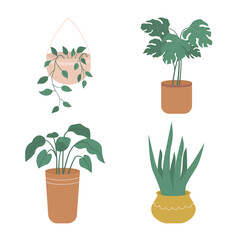 Collection of potted plants. Set of house plants in pots and planters in flat style. Vector illustration isolated on white background