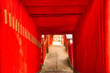 日本の赤い鳥居のイメージ写真