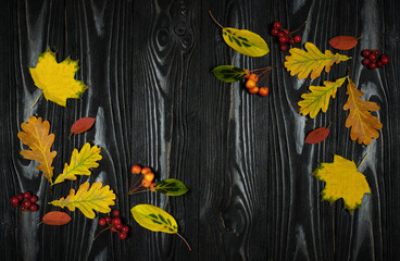 Thanksgiving  Autumn Background