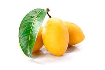 Marian Plum, Plum Mango, yellow fresh fruit and green leaf. Summer fruit with a sweet and sour taste. isolated on white background.