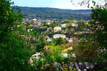 Beautiful landscape in countryside