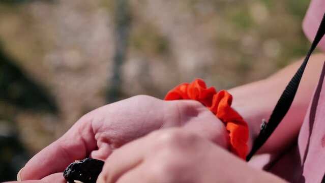 Fruits and nutts on the hands - Close up