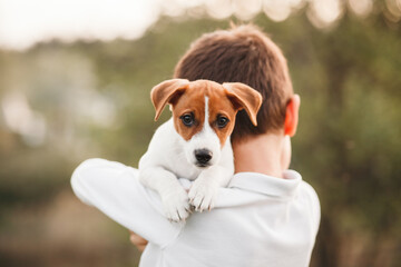 Close-up portrait of a cute jack russell terrier puppy dog in the arms of a boy, friendship, love, pet care