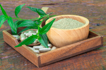 Andrographis paniculata extract in wooden bowl.