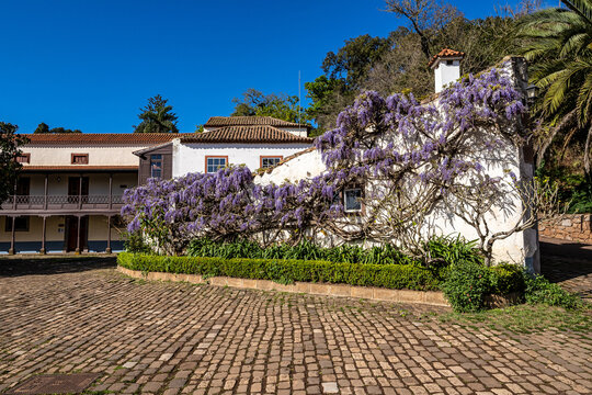 Flowers in the Finca de Osorio Park near Teror, Gran Canaria Island, Spain
