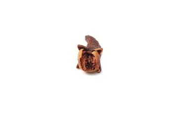 Macro of Spice Clove Isolated on White Background with Copy Space in Horizontal Orientation