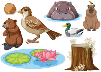 Different kinds of wild animals collection