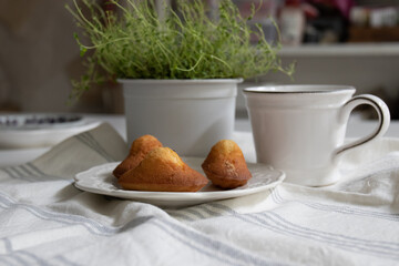 Close up French Cake, Petite Madeleine