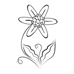 Doodle flower plant. Lineart floral graphic vector element. Be used for colouring book for kids.