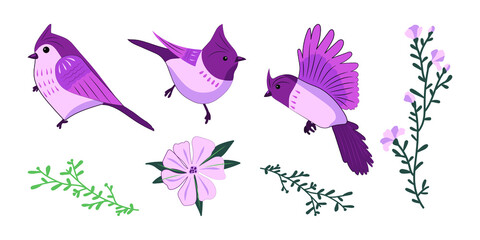 Birds and twigs. A set of vector illustrations. Abstract drawing.