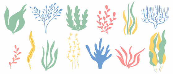 Fototapeta na wymiar Algae set. Hand drawn collection of colored algae. Sea plants.Vector illustration.