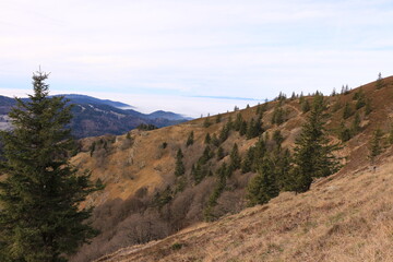 Blick vom Berg Belchen über den Hochschwarzwald	
