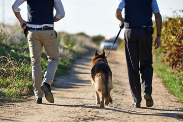 Walking along the crimescene. Rear view shot of two policeman and a dog walking down a rural road.