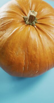 Vertical video of close up of halloween pumpkins on blue background