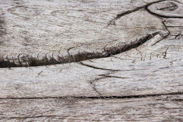 Wood background