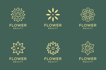  set of beauty flower logo design vector
