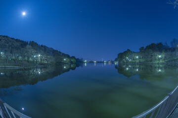 高松の池（夜景）