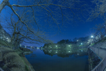 高松の池（夜景）