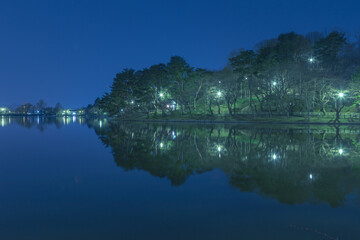高松の池（夜景）