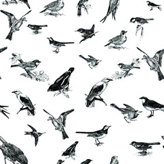 Seamless pattern with floral romantic elements, for your design. Endless texture, sketch humming-birds, watercolor flowers, isolated Vector illustration.