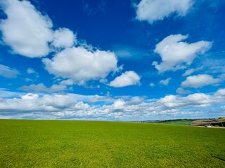 Fototapeta premium green field and blue sky