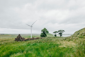 Fototapeta premium Windfarm, Scotland - Walking trail and wind turbines on wind farm on a sunny day.