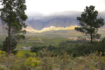 A panoramic view over a valley with vineyards towards majestic, cloud covered mountains.