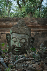 Fototapeta na wymiar Ancient old ruin Head of Buddha statue carved from sandstone was destroyed and abandoned left in the Wat U Mong Temple.