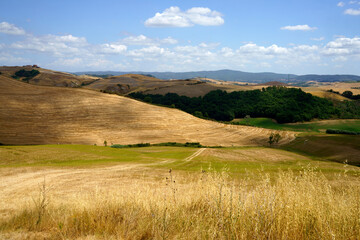 Obraz premium Rural landscape in Val d Orcia, Tuscany, Italy
