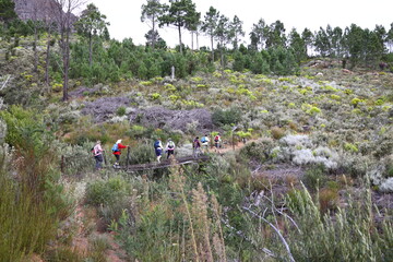 A distant group of hikers on a trail in the mountains of Slanghoek, South Africa.