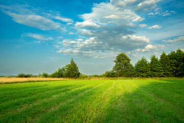 Shadows on a beautiful green meadow with trees and clouds on a blue sky