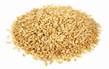 Barley Grain on white Background - Isolated