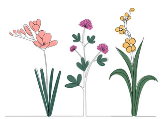 flowers drawing in one continuous line, isolated vector