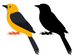 bird flat design, silhouette, isolated, vector
