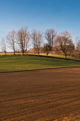 Obraz premium Acker mit Wiese und Bäumen Landwirtschaft