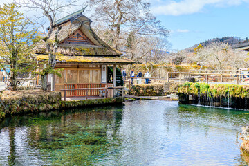 Obraz premium 初春の忍野八海 山梨県忍野村 Oshino Hakkai in early spring. Yamanashi-ken Osino village.