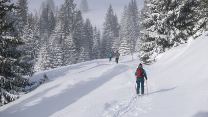 Fototapeta na wymiar Ski touring skiers in Bucegi Mountains on a beautiful sunny day