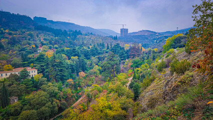 Fototapeta na wymiar View of Botanical garden in Autumn season, Tbilisi, Georgia.