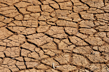 Mud Cracks in Dry Lake